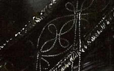 Detail of The Meagre Company