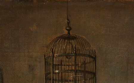 Detail of The Parrot Cage