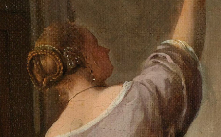 Detail of The Parrot Cage